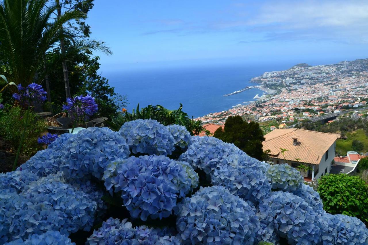 Holiday House 4 You Villa Funchal  Exteriör bild